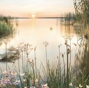 Landschappen & Reizen