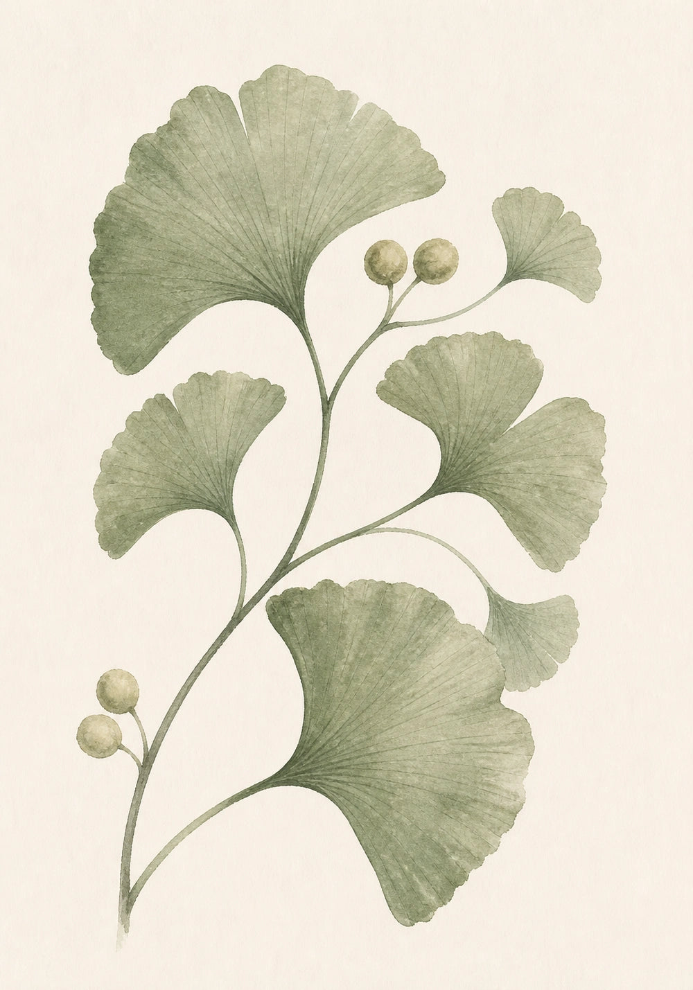 Botanica Verde – afbeelding 1
