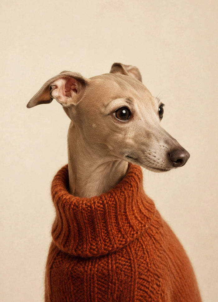 Dogue in Smaragd