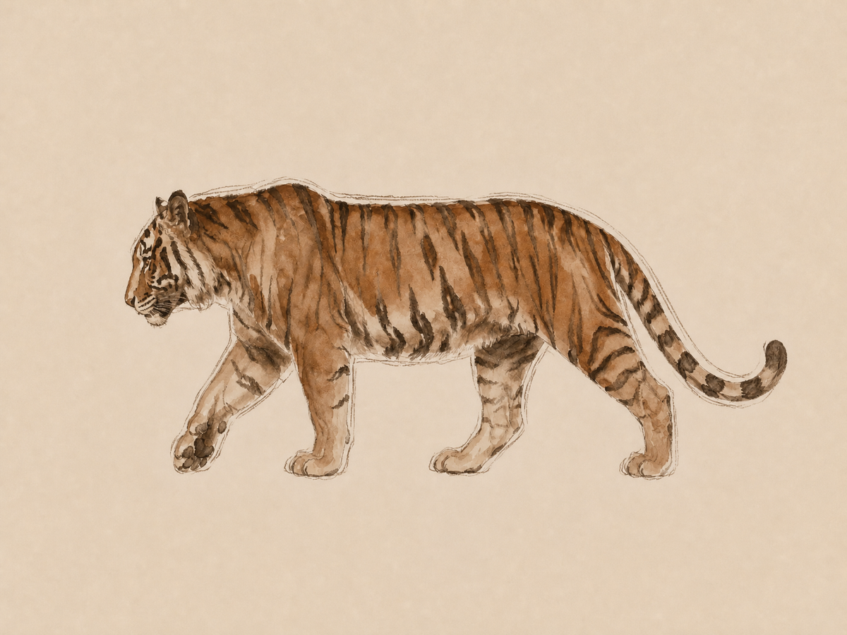 Panter in Beweging