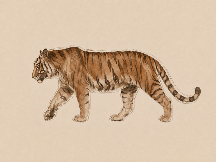 Panter in Beweging
